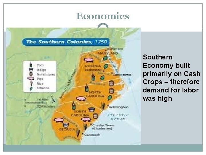 Economics Southern Economy built primarily on Cash Crops – therefore demand for labor was