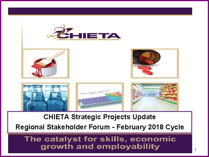 CHIETA Strategic Projects Update Regional Stakeholder Forum - February 2018 Cycle 1 