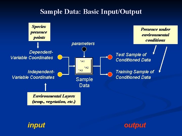 Sample Data: Basic Input/Output Species presence points parameters Dependent. Variable Coordinates +A 1 Presence