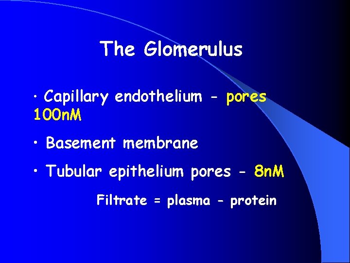 The Glomerulus • Capillary endothelium - pores 100 n. M • Basement membrane •