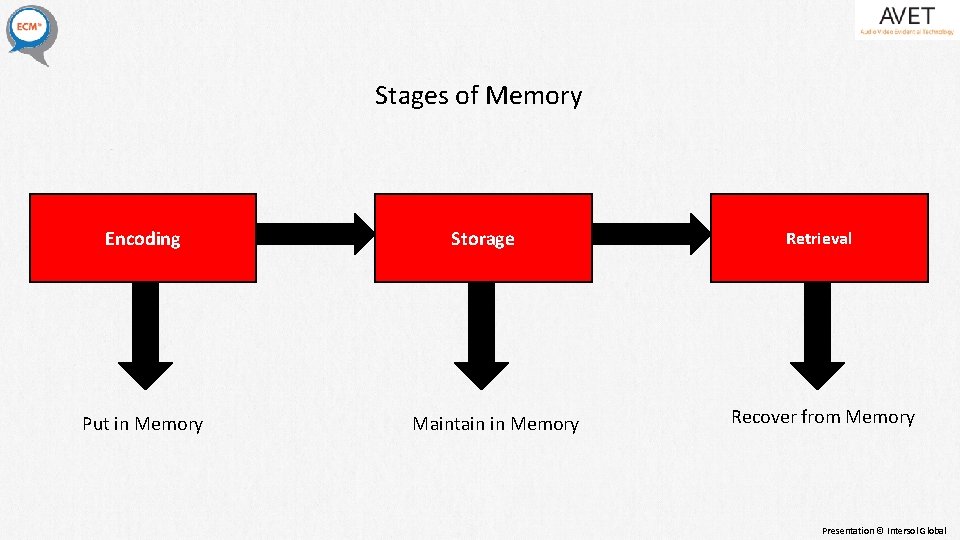 Stages of Memory Encoding Put in Memory Storage Maintain in Memory Retrieval Recover from Stages of Memory Encoding Put in Memory Storage Maintain in Memory Retrieval Recover from