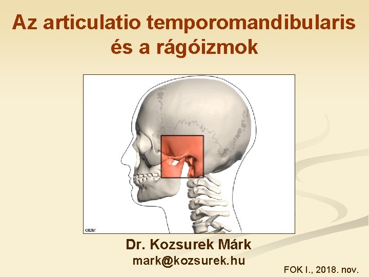 Az articulatio temporomandibularis és a rágóizmok Dr. Kozsurek Márk mark@kozsurek. hu FOK I. ,