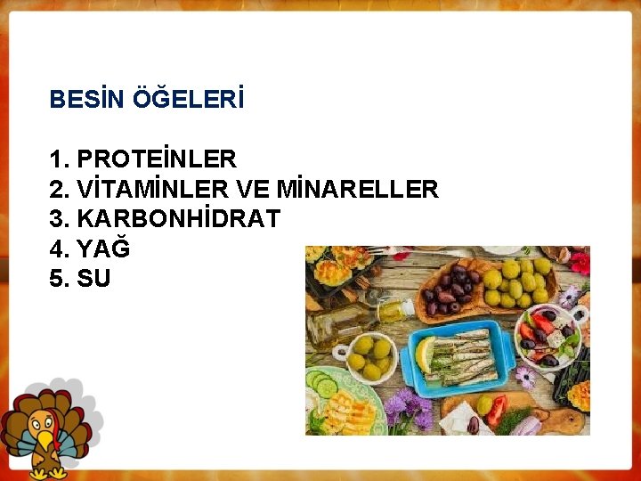 BESİN ÖĞELERİ 1. PROTEİNLER 2. VİTAMİNLER VE MİNARELLER 3. KARBONHİDRAT 4. YAĞ 5. SU