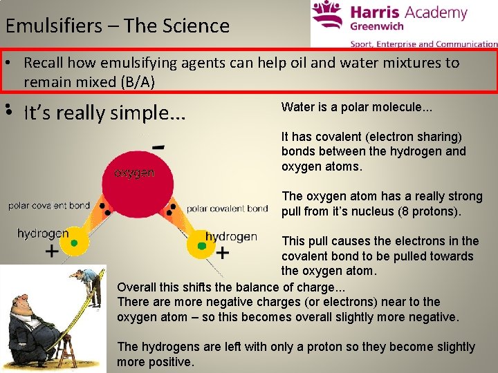 Emulsifiers – The Science • Recall how emulsifying agents can help oil and water