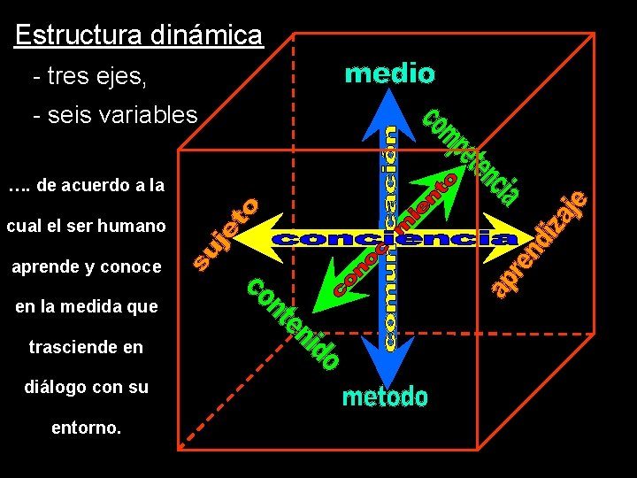 Estructura dinámica - tres ejes, - seis variables …. de acuerdo a la cual