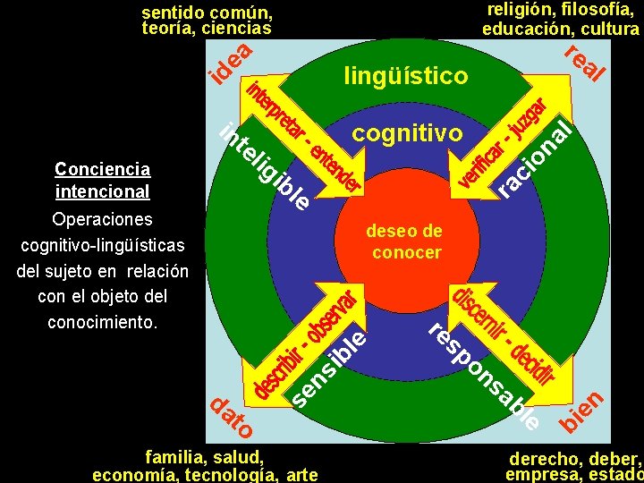 religión, filosofía, educación, cultura ea sentido común, teoría, ciencias id lingüístico in ra ci