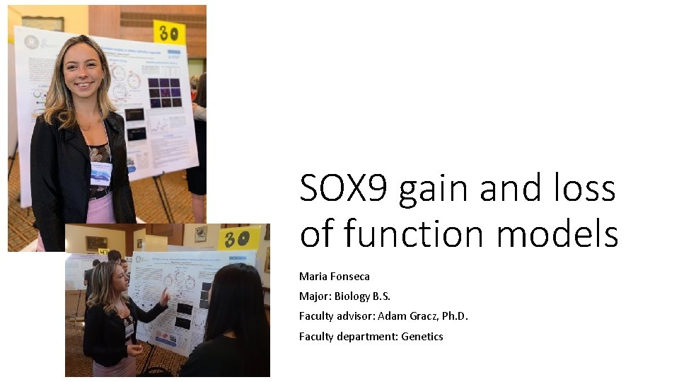 SOX 9 gain and loss of function models Maria Fonseca Major: Biology B. S.