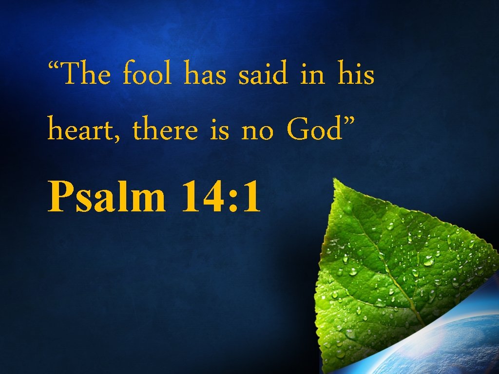 “The fool has said in his heart, there is no God” Psalm 14: 1