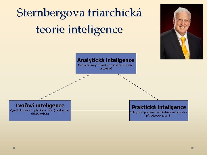 Sternbergova triarchická teorie inteligence Analytická inteligence Mentální kroky či složky používané k řešení problémů
