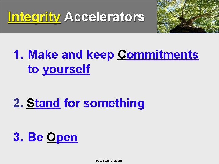 Integrity Accelerators 1. Make and keep Commitments to yourself 2. Stand for something 3.