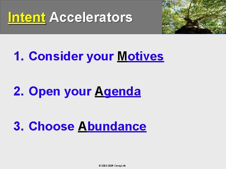 Intent Accelerators 1. Consider your Motives 2. Open your Agenda 3. Choose Abundance ©