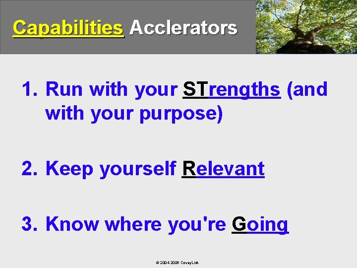 Capabilities Acclerators 1. Run with your STrengths (and with your purpose) 2. Keep yourself