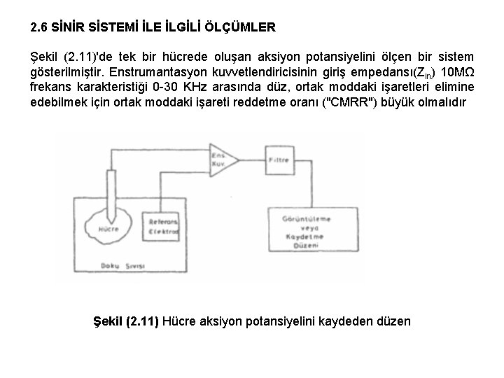 2. 6 SİNİR SİSTEMİ İLE İLGİLİ ÖLÇÜMLER Şekil (2. 11)'de tek bir hücrede oluşan