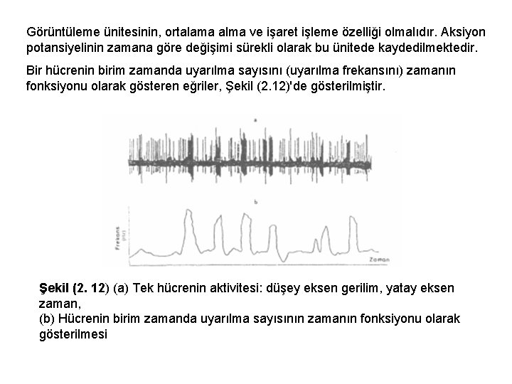 Görüntüleme ünitesinin, ortalama alma ve işaret işleme özelliği olmalıdır. Aksiyon potansiyelinin zamana göre değişimi