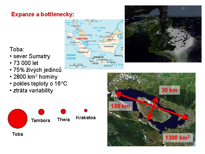 Expanze a bottlenecky: Toba: • sever Sumatry • 73 000 let • 75% živých
