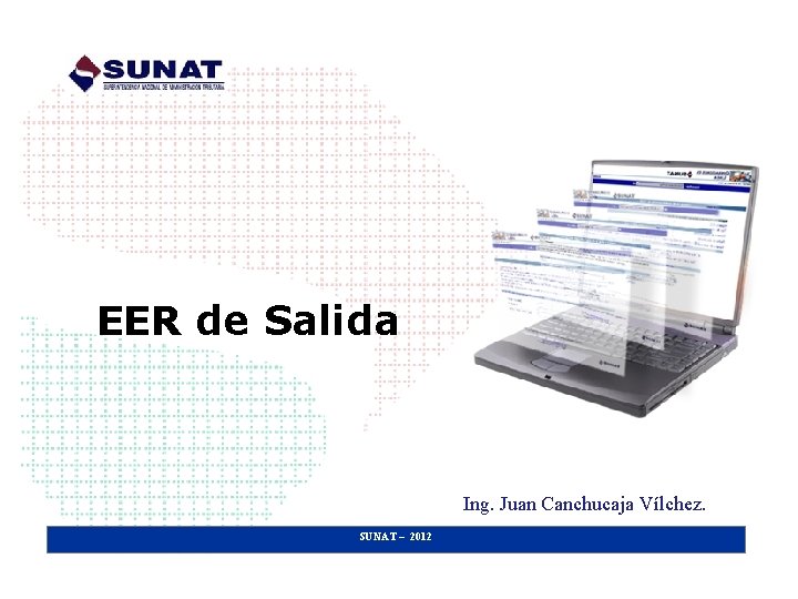 EER de Salida Ing. Juan Canchucaja Vílchez. SUNAT – 2012 