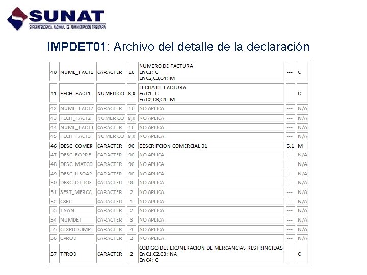 IMPDET 01: Archivo del detalle de la declaración 