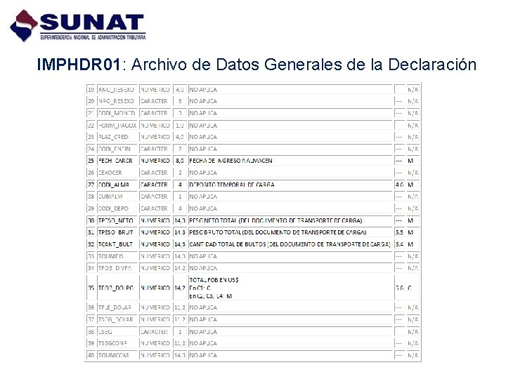IMPHDR 01: Archivo de Datos Generales de la Declaración 