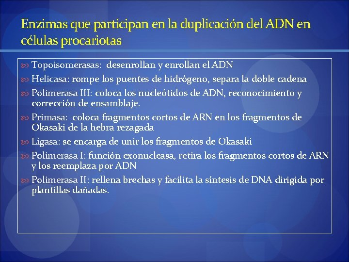 Enzimas que participan en la duplicación del ADN en células procariotas Topoisomerasas: desenrollan y