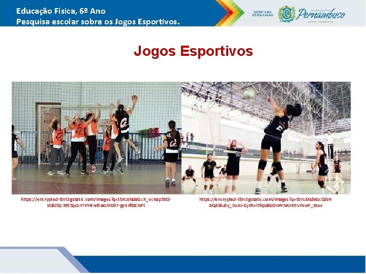 Educação Física, 6º Ano Pesquisa escolar sobre os Jogos Esportivos https: //encrypted-tbn 3. gstatic. Educação Física, 6º Ano Pesquisa escolar sobre os Jogos Esportivos https: //encrypted-tbn 3. gstatic.
