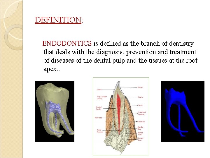 DEFINITION: ENDODONTICS is defined as the branch of dentistry that deals with the diagnosis,