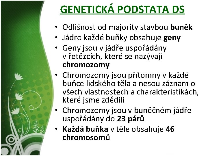 GENETICKÁ PODSTATA DS • Odlišnost od majority stavbou buněk • Jádro každé buňky obsahuje