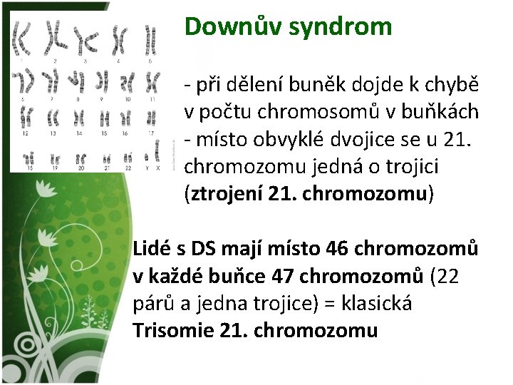 Downův syndrom - při dělení buněk dojde k chybě v počtu chromosomů v buňkách