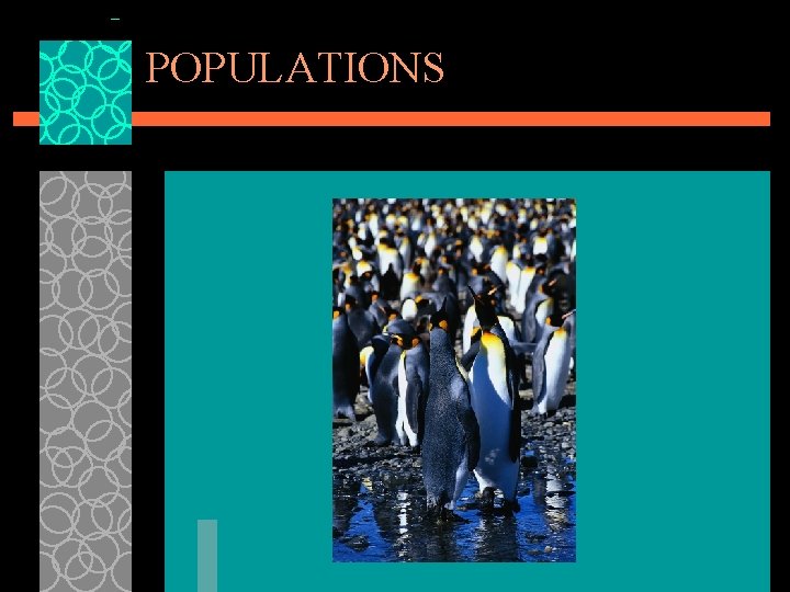 POPULATIONS 