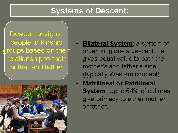 Systems of Descent: Descent assigns people to kinship • Bilateral System: a system of