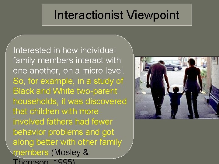 Interactionist Viewpoint Interested in how individual family members interact with one another, on a