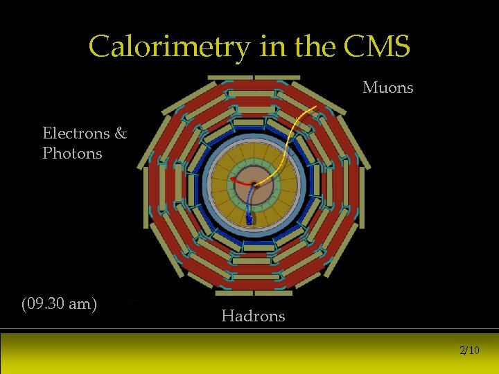 Calorimetry in the CMS Muons Electrons & Photons (09. 30 am) Hadrons 2/10 