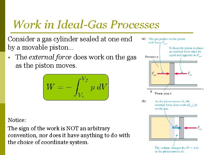 Work in Ideal-Gas Processes Consider a gas cylinder sealed at one end by a