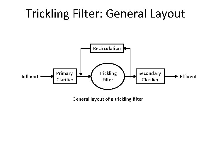 Trickling Filter: General Layout Recirculation Influent Primary Clarifier Trickling Filter Secondary Clarifier General layout