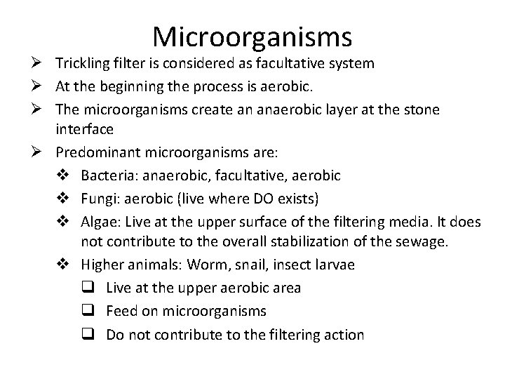 Microorganisms Ø Trickling filter is considered as facultative system Ø At the beginning the