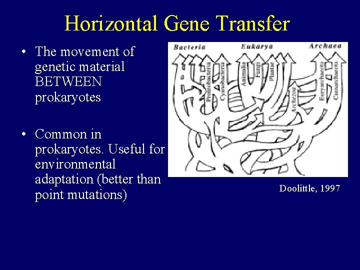 Horizontal Gene Transfer • The movement of genetic material BETWEEN prokaryotes • Common in