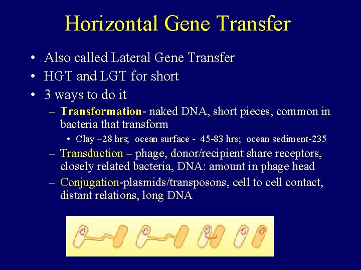 Horizontal Gene Transfer • Also called Lateral Gene Transfer • HGT and LGT for