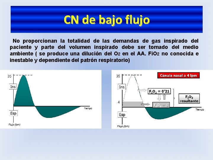 CN de bajo flujo No proporcionan la totalidad de las demandas de gas inspirado