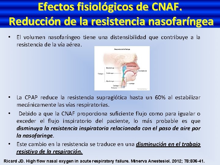 Efectos fisiológicos de CNAF. Reducción de la resistencia nasofaríngea • El volumen nasofaríngeo tiene