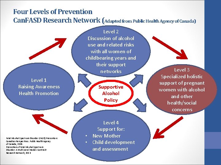 Four Levels of Prevention Can. FASD Research Network (Adapted from Public Health Agency of