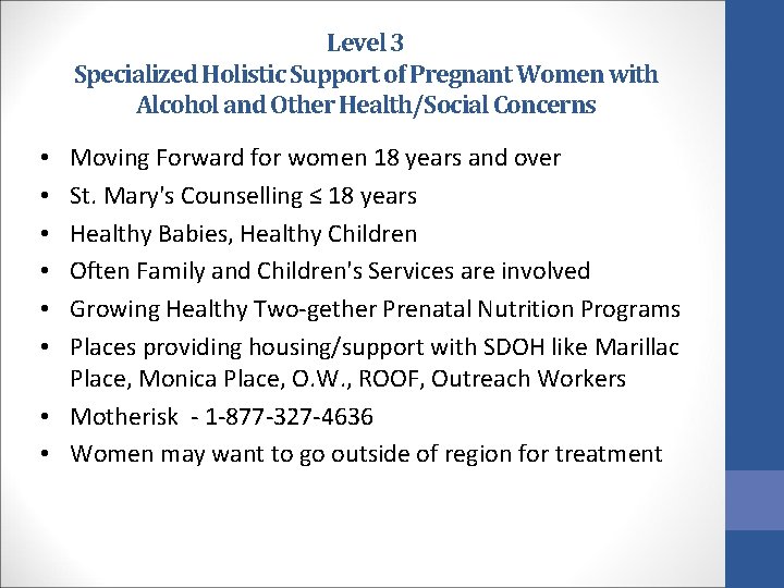 Level 3 Specialized Holistic Support of Pregnant Women with Alcohol and Other Health/Social Concerns