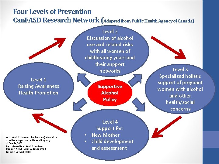 Four Levels of Prevention Can. FASD Research Network (Adapted from Public Health Agency of