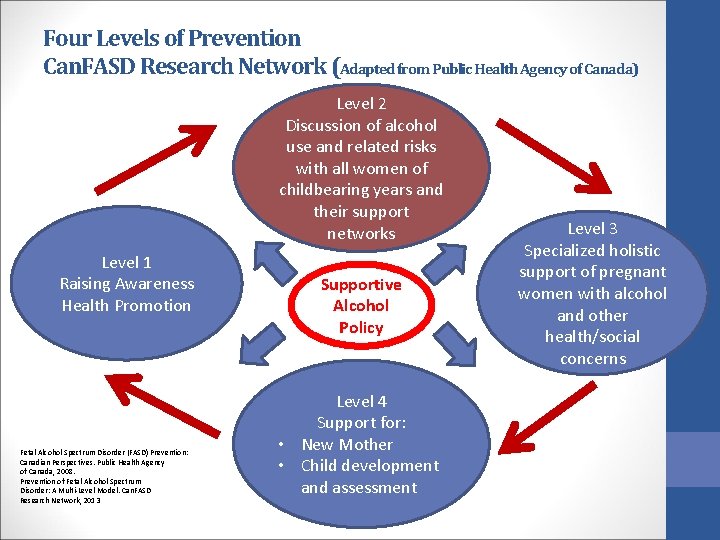 Four Levels of Prevention Can. FASD Research Network (Adapted from Public Health Agency of