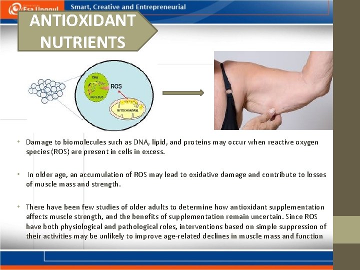 ANTIOXIDANT NUTRIENTS • Damage to biomolecules such as DNA, lipid, and proteins may occur