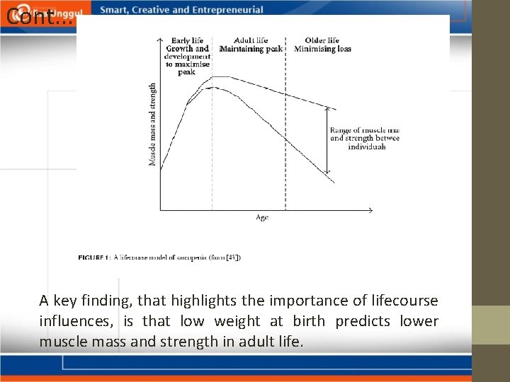 Cont. . . A key finding, that highlights the importance of lifecourse influences, is