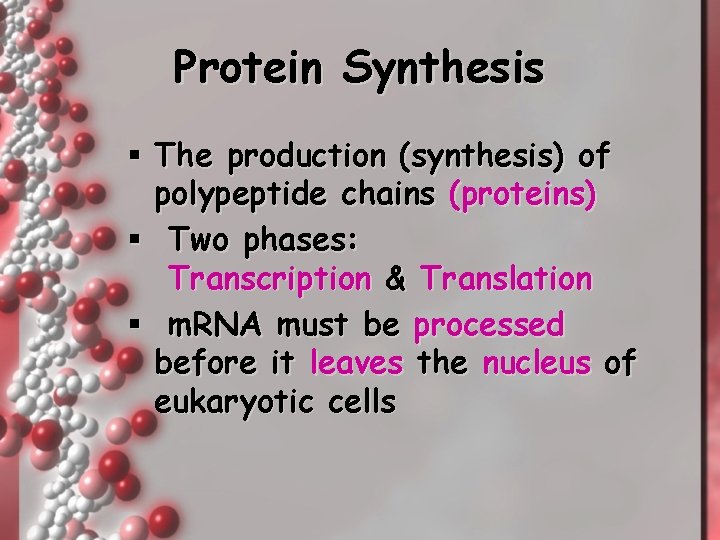 Protein Synthesis § The production (synthesis) of polypeptide chains (proteins) § Two phases: Transcription