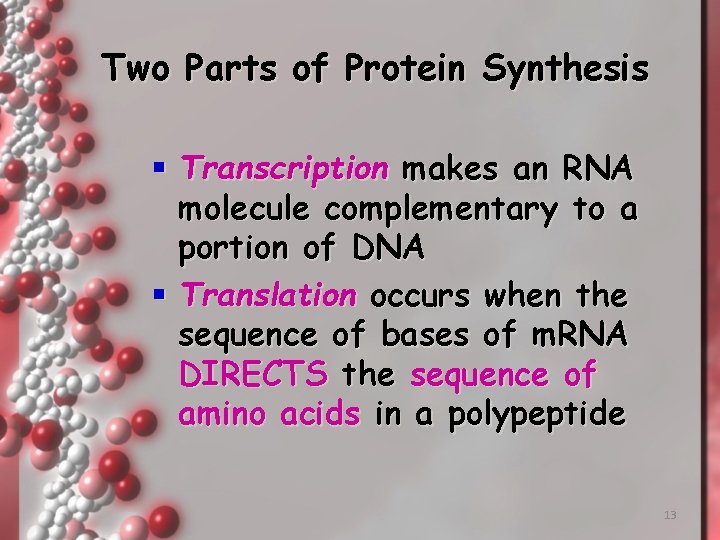 Two Parts of Protein Synthesis § Transcription makes an RNA molecule complementary to a