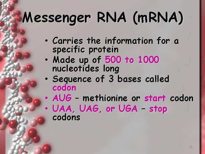 Messenger RNA (m. RNA) • Carries the information for a specific protein • Made