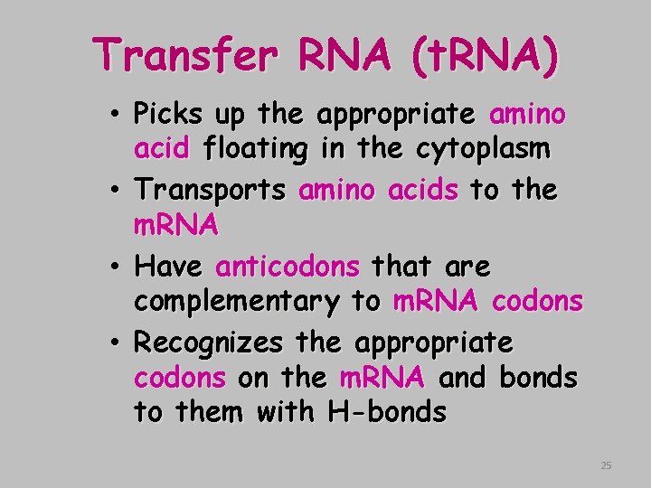 Transfer RNA (t. RNA) • Picks up the appropriate amino acid floating in the