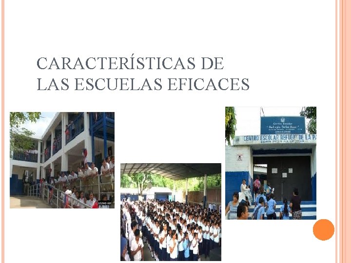 CARACTERÍSTICAS DE LAS ESCUELAS EFICACES 