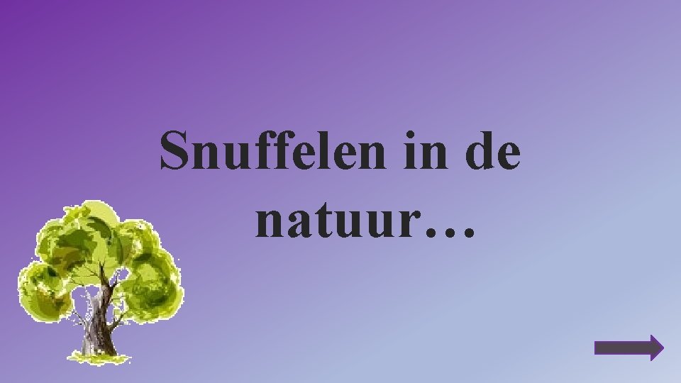 Snuffelen in de natuur… 